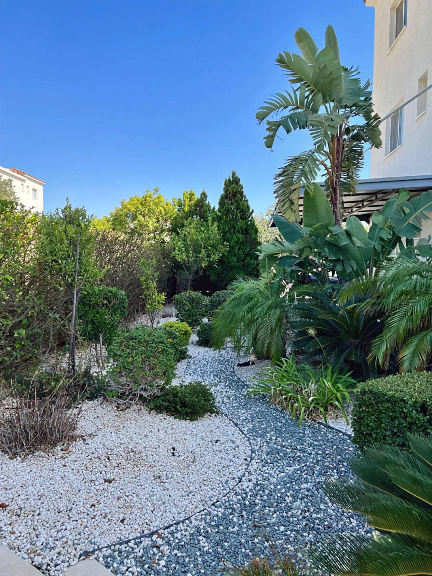 Spacious Sea View Apartment Χλώρακα Εξωτερικό φωτογραφία